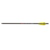 Strela Skylon X-Bow Bolts Carbon 8.7mm/20 moonNock 6 komada (SSA Archery) Strela Skylon X-Bow Bolts Carbon 8.7mm/20 moonNock 6 komada - Pikadooprema