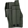 Molle Gun Holster with Mag Pouch OD Green