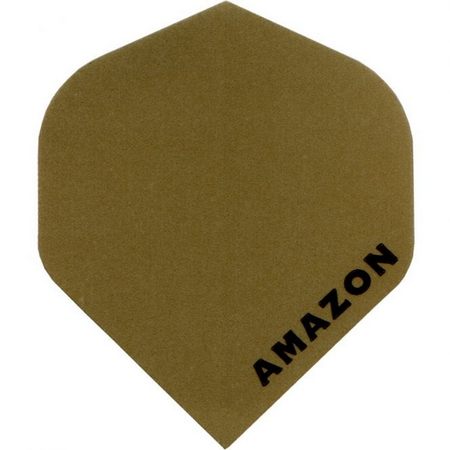 Amazon Standard Flights