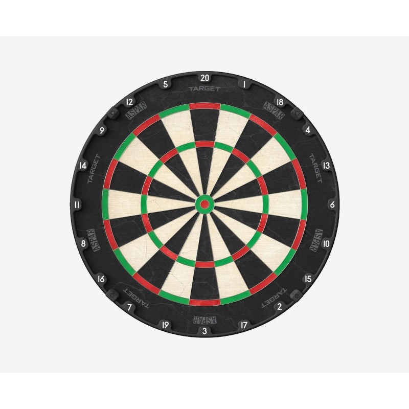 Aspar Professional Dartboard