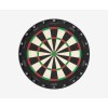 Aspar Professional Dartboard - Pikadooprema