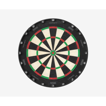 Aspar Professional Dartboard Aspar Professional Dartboard